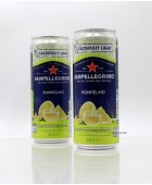 330ml(12罐裝)SanPellecrino果味有汽水。西柚