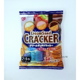 108g(24枚)HappyPocket雜錦餅