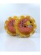 *食用日期 2027年4月* 360g(罐裝)GEO迷你鳳梨酥