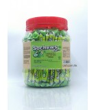 900g(罐裝)SochewsBars扁條糖。青蘋果